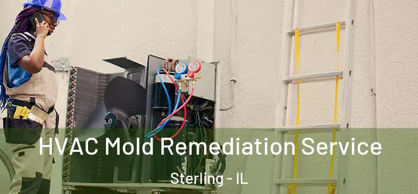  HVAC Mold Remediation Service Sterling - IL
