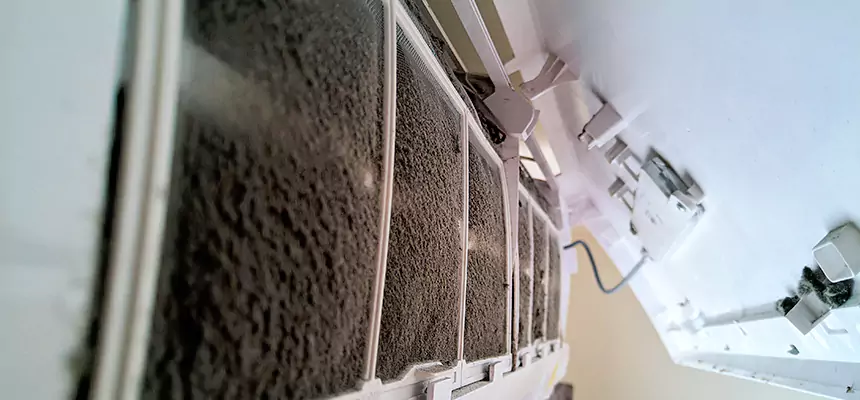 Preventive Air Duct Bacteria Removal in Sterling