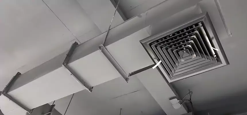 Our Pest Removal From Ducts Services in Sterling, IL