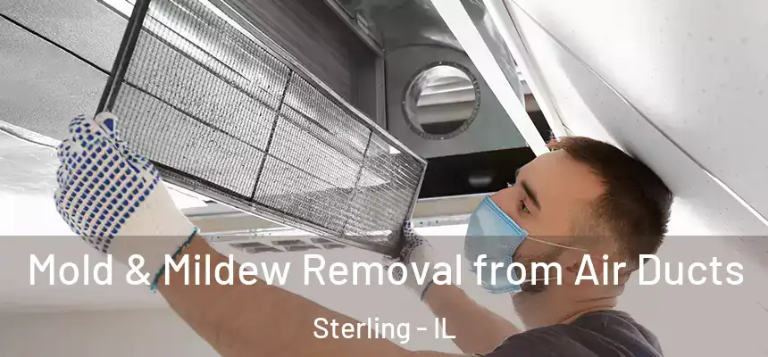  Mold & Mildew Removal from Air Ducts Sterling - IL