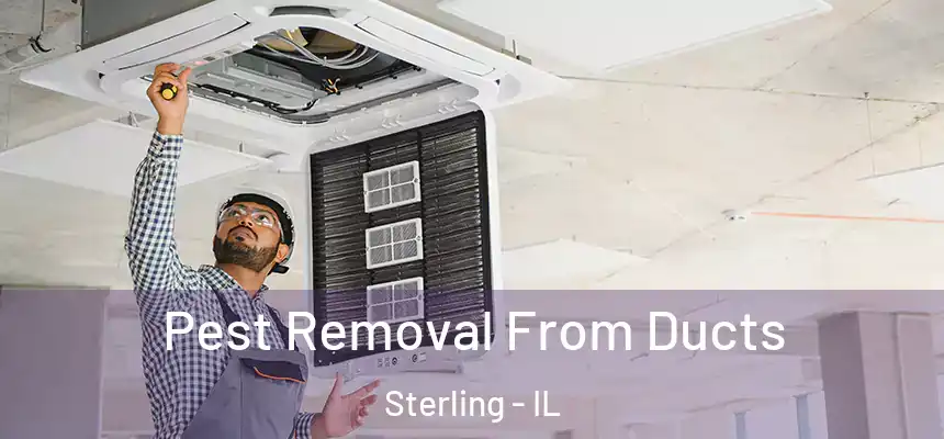  Pest Removal From Ducts Sterling - IL