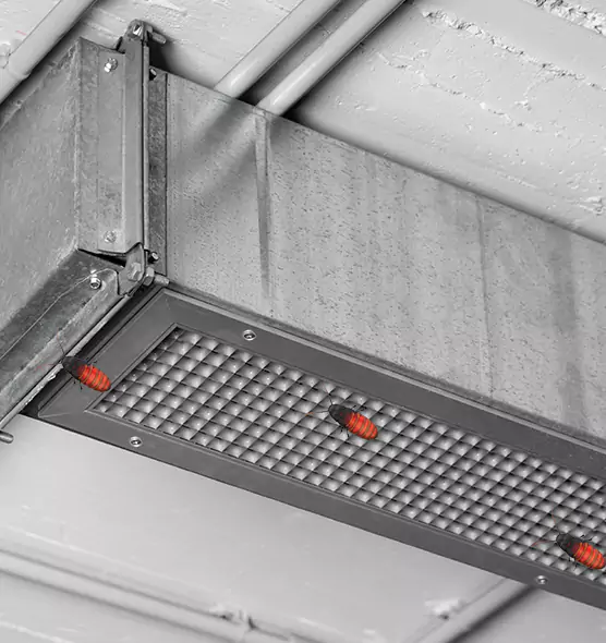 About Air Duct Cockroach Removal in Sterling, IL