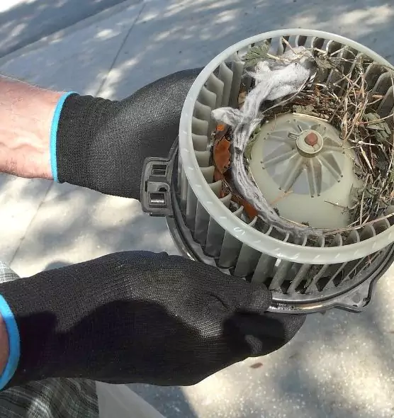 About Air Duct Mice Removal in Sterling, IL