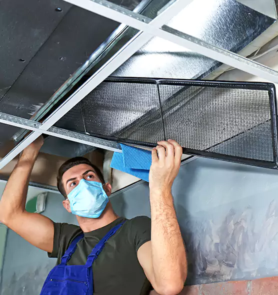Professional Air Duct Pollen Cleaning in Sterling, IL