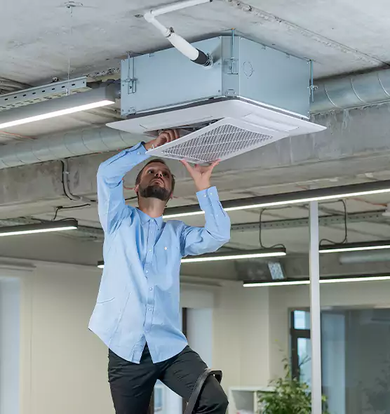 Advanced Rodent Droppings In Vents in Sterling, IL